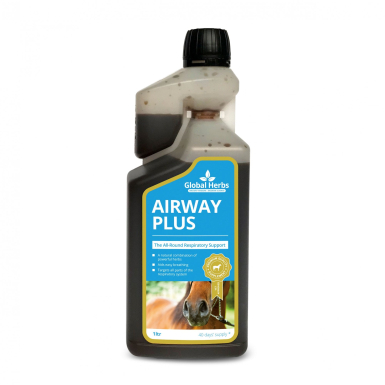 Global Herbs Airway Plus Liquid 1 Ltr